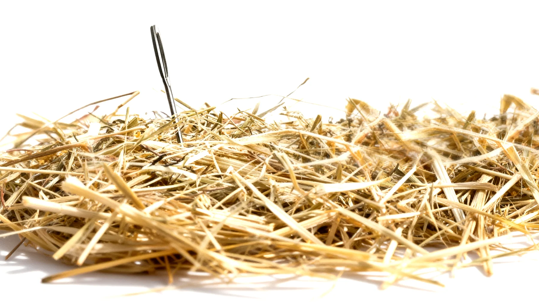 Gute Zeiten, schlechte Zeiten (GZSZ)2026-03-17T16:33:42.796Z"